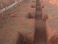 Djougou Cover